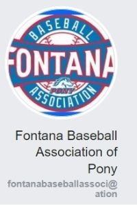 baseball league official site