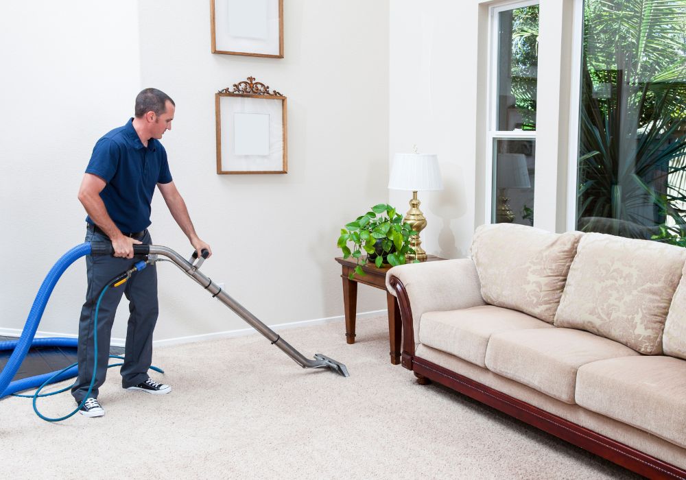 Why Choose Rug Cleaning Specialists for Cleaning Your Rugs