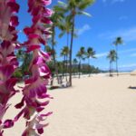 Hawaii Hotels Where To Stay in Hawaii