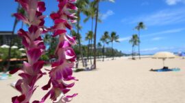 Hawaii Hotels: Where To Stay in Hawaii