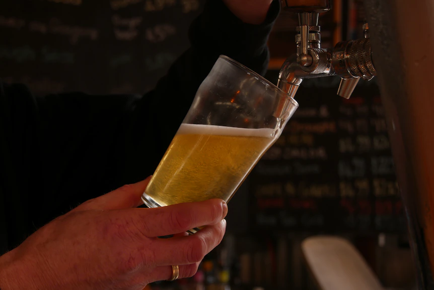 A close of shot of someone pulling a beer from a tap into a schooner