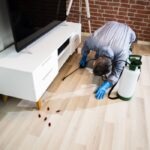 How To Prevent Pests From Entering Your Homes