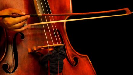 A Journey of Discovery in Cello Education